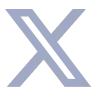 x-icon